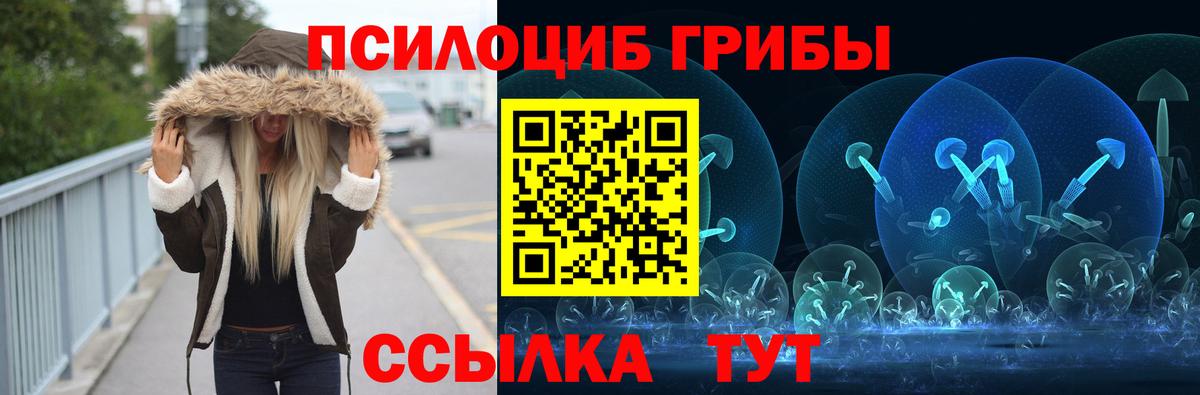 где продают   Вход с VPN  Сегежа  Галлюциногенные грибы Cubensis 